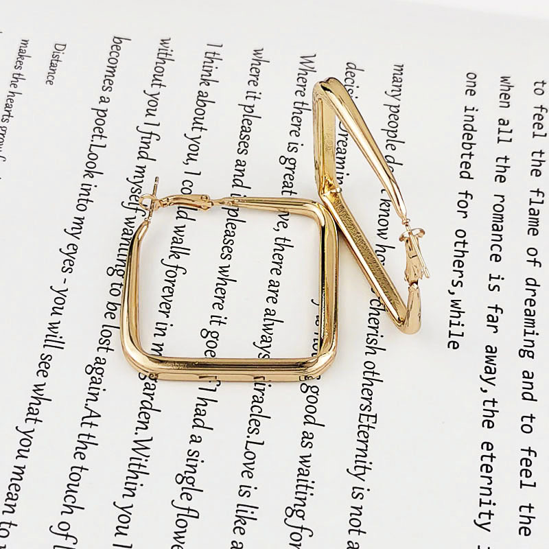 Iron Chain Material 1 Pair Quantity 1 Pair Fashion Square Alloy Women's Earrings