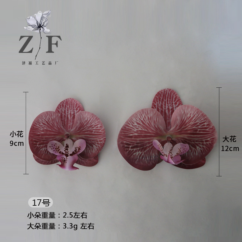 17호(대)