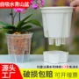 青山透气吸水加厚花盆