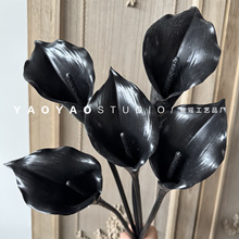 ��ɫ�R��ɏ ����ϵ�����҃��bӰ��g����廨�[���������߼ٻ�