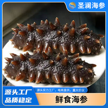 �rʳ�����S�����l��ʳ�����|�̺����ǵ��ɴ��B�rʳ�������|M