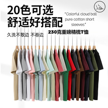 SֱN230g½ŮͬT1֧һl