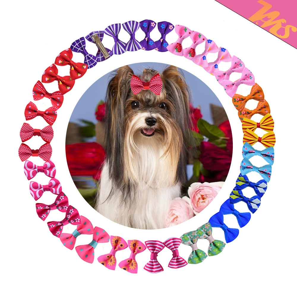 Новый головной убор для собак BB клип цветные звезды квадратные овальная шпилька Йоркширский карамельный цвет щенок шпилька