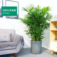 ����ɢβ�����������������Pβ���҃Ȼ��ܾGֲ����Ҭ�Ӵ��Ϳ͏d��