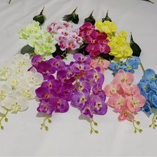 ��������m�ٻ����滨�Ҿӻ�c�廨�ߙn��ˇ�m����Y�b��ָн���