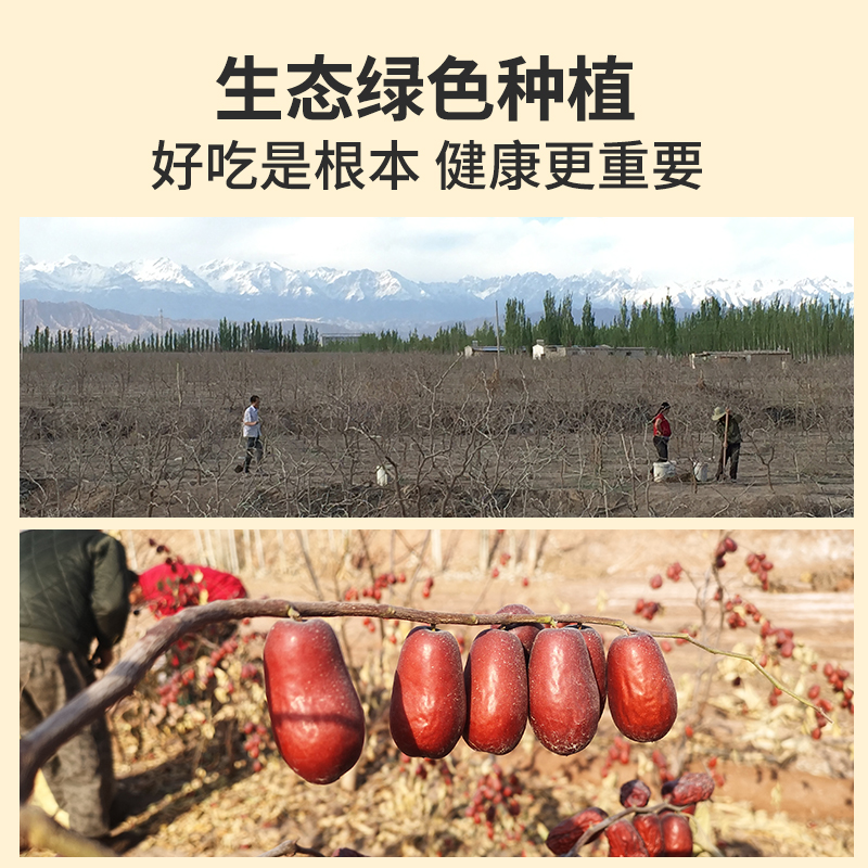 散裝新疆和田大棗紅棗批貨整箱袋裝新疆特產特級紅棗批貨