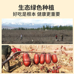 散裝新疆和田大棗紅棗批貨整箱袋裝新疆特產特級紅棗批貨