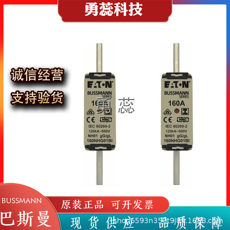 熔断器    100NHM0B-690   160NHM00B-690  10NHG01B