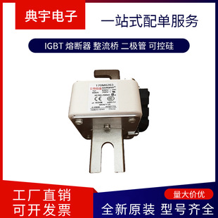 Fuse 170m6261 6262 6263 6264 6265 6266 6267 Models