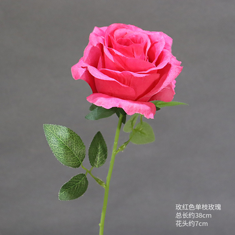 Rosa roja sola rosa uno