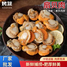 软体类;贝类;鱼类