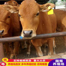 �V�|���T��������ţ�����Sţ��ţ�ٶ���һ�^�����Sţ�Bֳ��ó���