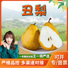 xɽ|̨ l8rrˮƤܛŴ֭