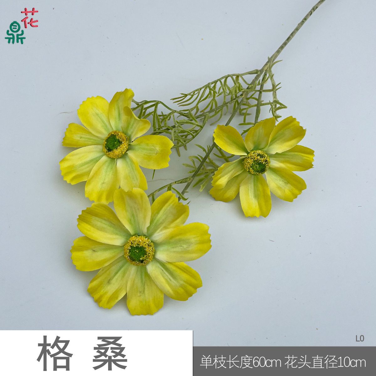 Gesang LO Màu vàng