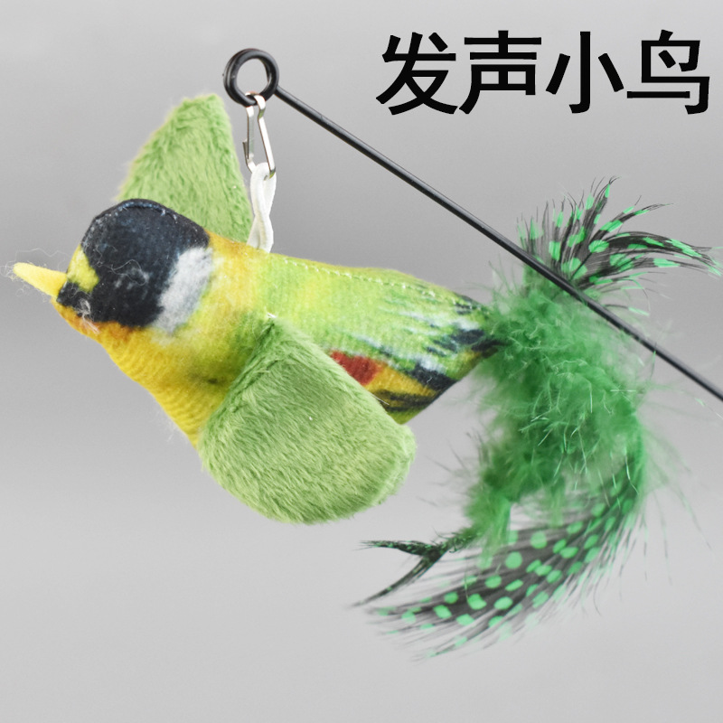 보컬 천 버드 그린