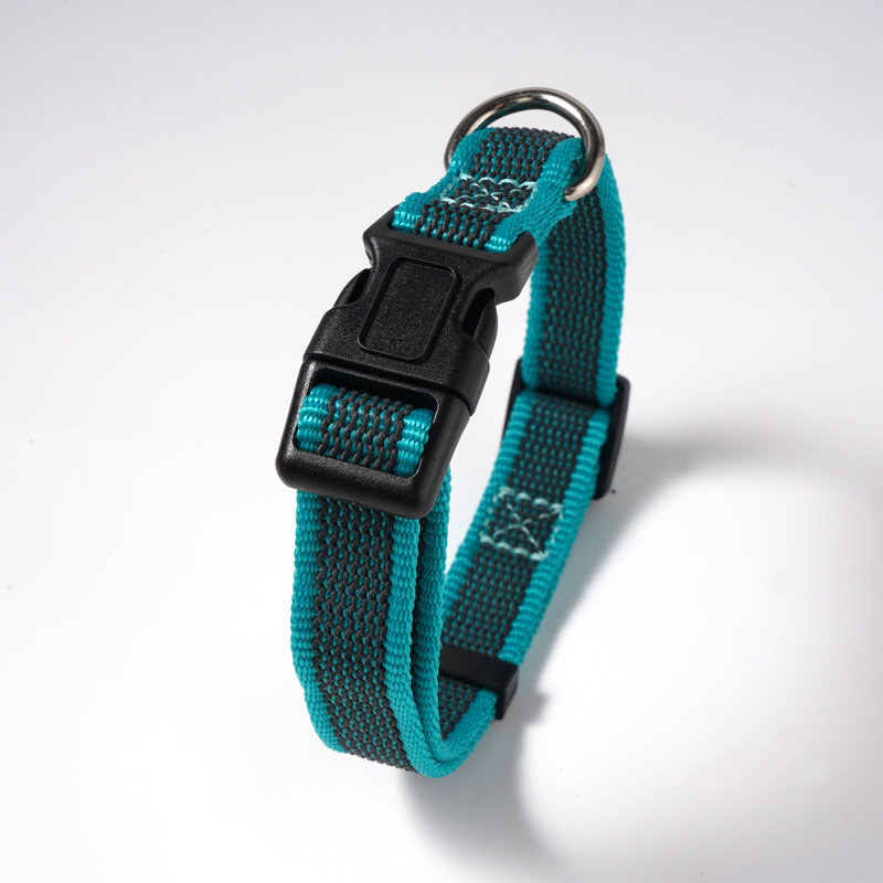 레이크 블루 칼라