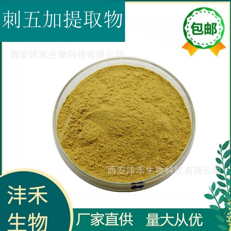 刺五加提取物10:1  刺五加皂甙 厂家现货  刺五加粉 沣禾生物