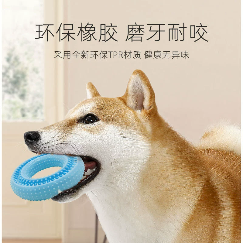 Amazon Новая игрушка для укуса кости Комбинированная игрушка для домашних животных Устойчивая к укулю собак зубная щетка Молярная игрушка