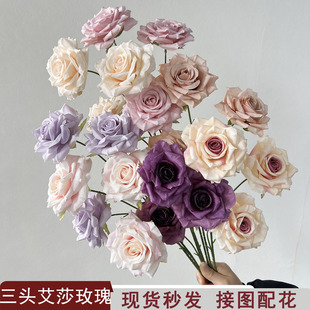 �W�t�ʯõõ����滨�߼���c�bҾ�ܛ�b�Ƶ��b羳�ٲ�����