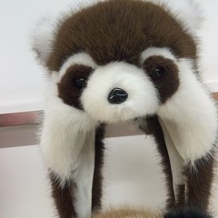 冬のかわいいアニメのアライグマの毛の帽子の女性は自転車に乗って耳の帽子を厚くします。