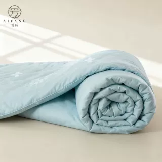 桐乡源头双宫长丝蚕丝被 A类母婴纯棉夏凉空调被桑蚕丝被子母被芯