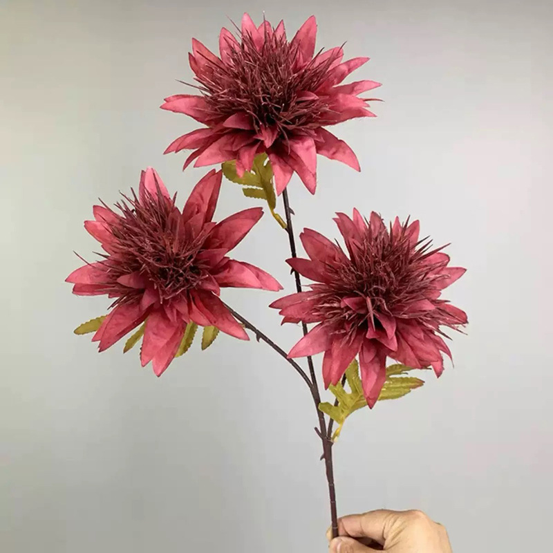 머리가 3개인 말미잘 꽃-버건디