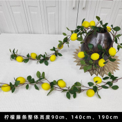 レモンの藤条をシミュレーションして果物の緑を観賞します。