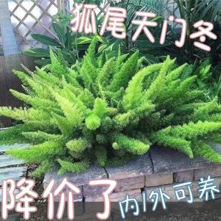 ��β���T����}ꖹ�����ؔ���������ͺ��Gֲ���Ժ��B�����Ϙ�