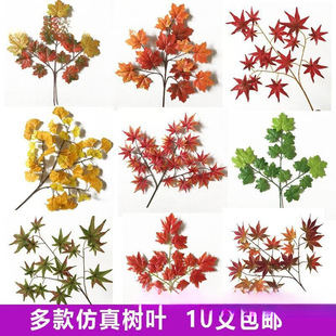 ����t���~�@�ֹ����b���ͩ���~�ә����y���~�＾��֦��ɽ���~