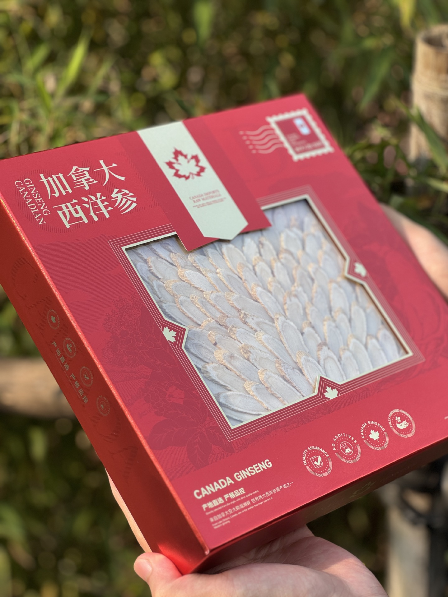 Canadian American Ginseng Slices Gift Box Large Slices 100g Dried Herbal Root for Soup and Tea key features