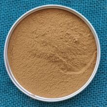 �S�ҹ��� �t���� ���I���t��� �T�����z�t���� �������������