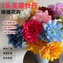 3�^ܽ��ĵ����c�û��Ƶ�Y�Ñ��⹰�Tins�ٻ��b��滨����