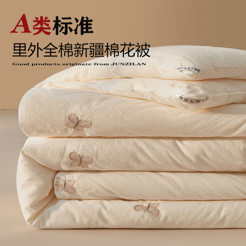 Class a Pure Cotton Xinjiang Cotton Quilt Core Winter Thickeneded Household Winter Quilt Double Spring & Fall Quilt Maternal and Infant Grade Quilt