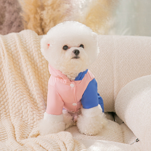 Autumn and winter puppy contrasting stitching traction down jacket medium and small dogs and cats warm cotton coat pet clothes