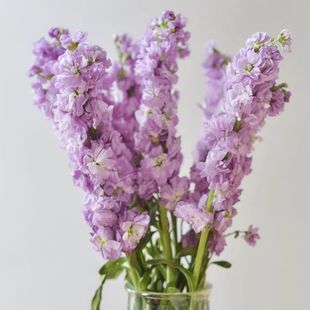 ���_�m�r����������r�����l�廨�����廨ˮ�B���������c������