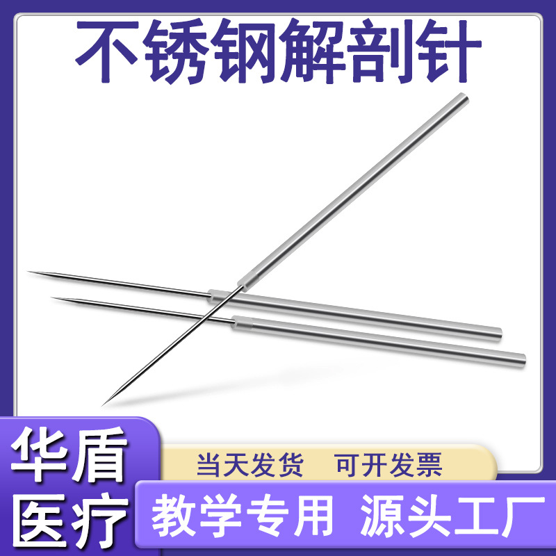 不锈钢生物昆虫动物解剖针教学生物实验室教学仪器标本解剖针探针
