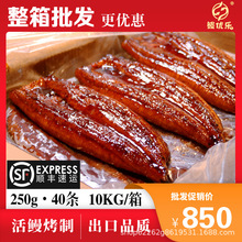 厂家供应日料寿司即食中西餐食材 肉厚汁多40P美味蒲烧烤鳗鱼