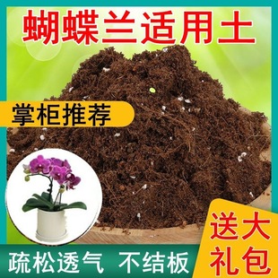 Phalaenopsis Suitable for Soil Green Plant Potted General Soil Household Potted Soil Special Fertilizer One Piece Wholesale Supply Factory