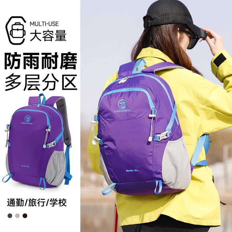 Backpack for traveling