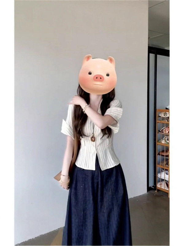 高级感v领条纹短袖衬衫女夏设计感小众短款衬衣法式修身收腰上衣|undefined