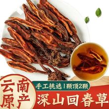 云南深山野生500g克中药材顶天柱不老草男性滋补泡茶水酒邮