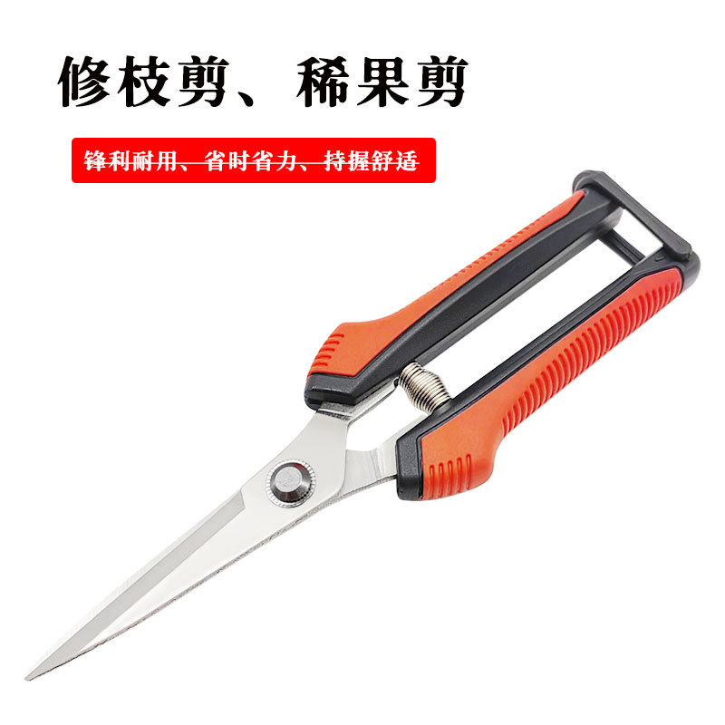 新款现货 不锈钢多功能实用园林剪 修枝剪刀 果树剪稀果剪 摘果剪