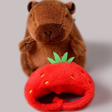 ��Ƥ�������ˮ����耳׿۰�����ɐ۳��ȹ���ë�q�����ż