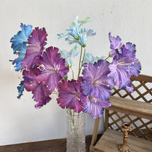 5^ĪδSβ 滨ľȻoľ cҾb Ż