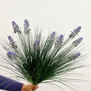 ����Gֲ ��Ȕ�ݰ���5�^�u�ڻ��JȔ�쾰ֲ��ͥԺ���^�ݷ�����