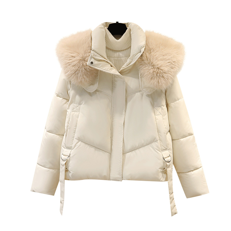 Invierno de 2025, ropa de algodón corta de moda coreana, abrigo de algodón de cuello vertical, abrigo de mujer grueso, cálido y suelto.