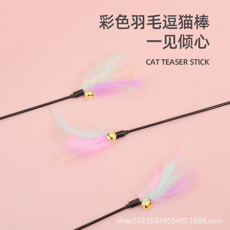 マカロンのアンドロメダは猫の棒の長い羽の鈴をからかって猫の棒の猫を笑わせます。|undefined