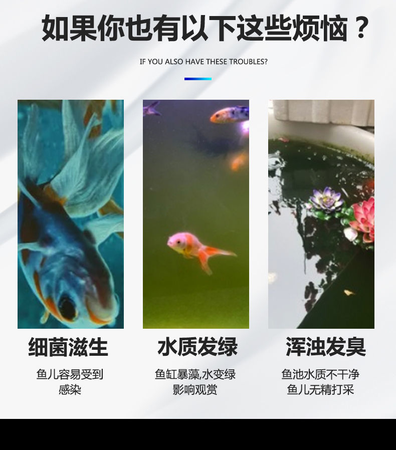 详情图_4.jpeg