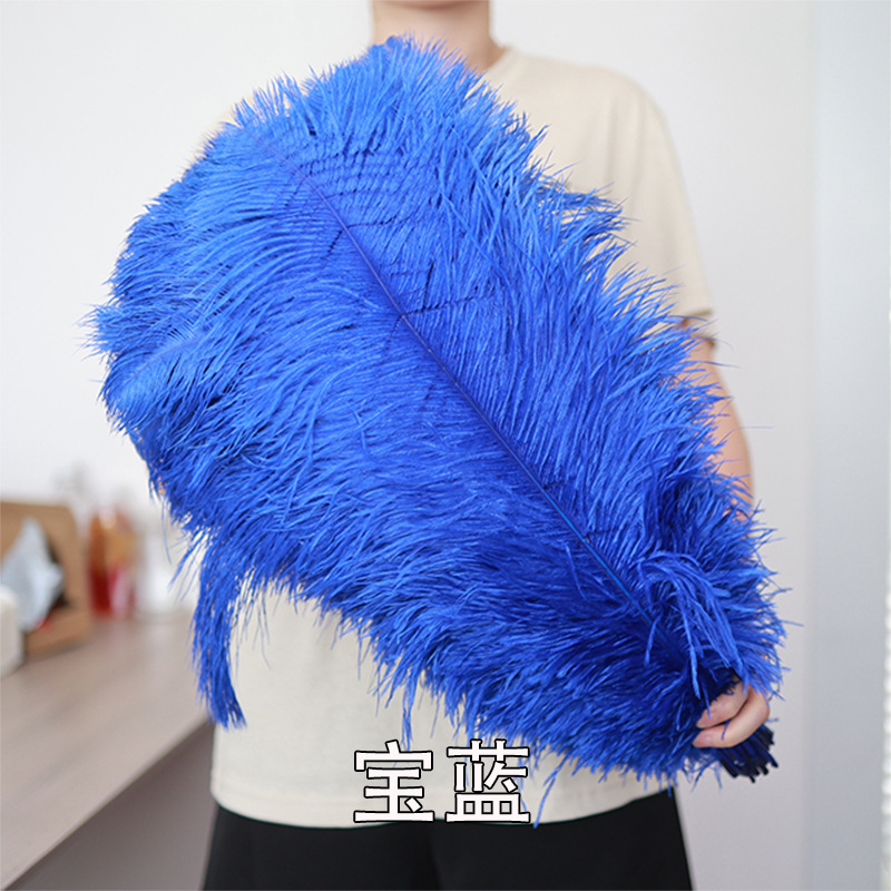55 - 60cm plumas de avestruz de Sudáfrica al por mayor accesorios de ropa DIY accesorios materiales accesorios de diseño de boda lana de avestruz