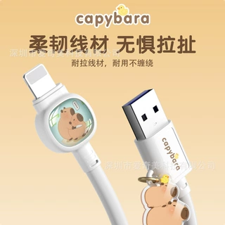卡皮巴拉一拖三66W数据线适用于苹果三合一5A充电线现货卡通水豚
